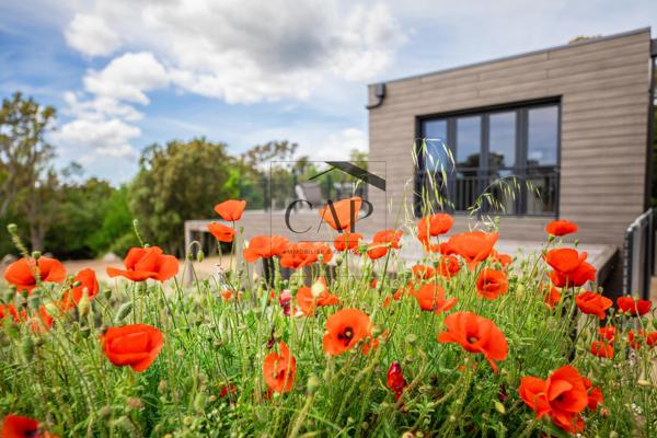 Lecci (20137) Résidence haut de gamme en Corse du Sud – Vente en bloc d’un domaine d’exception avec conciergerie et piscines