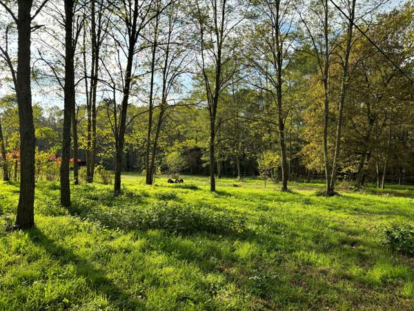 Maison avec lac privé sur environ 4 hectares