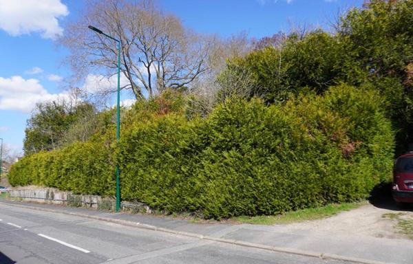 Terrain Verdoyant de 564 m²