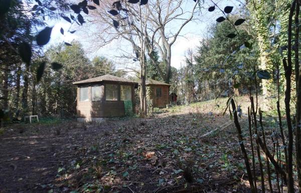 Terrain Verdoyant de 564 m²