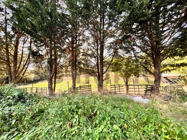 Vente / Maison et grand terrain