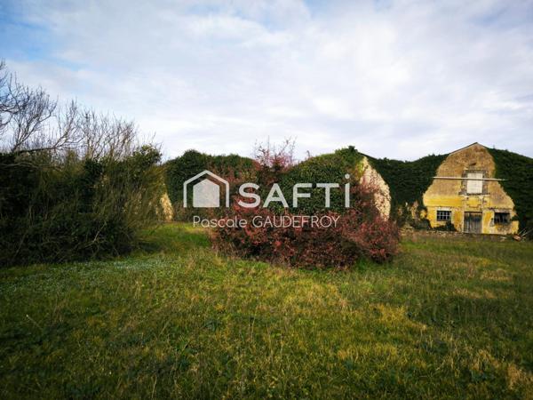 AUTHENTIQUE PROPRIETE CHARENTAISE A RENOVER SUR 7164 M² DE TERRAIN