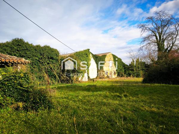AUTHENTIQUE PROPRIETE CHARENTAISE A RENOVER SUR 7164 M² DE TERRAIN
