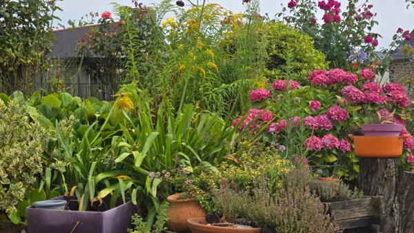 Maison à vendre 6/7 pièces HIREL (35) jardin et dependances