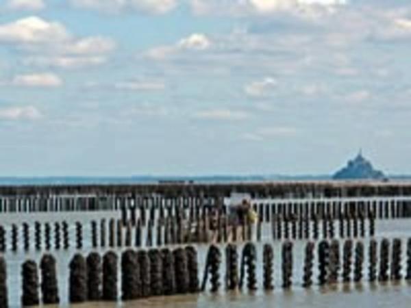 Maison à vendre 6/7 pièces HIREL (35) jardin et dependances