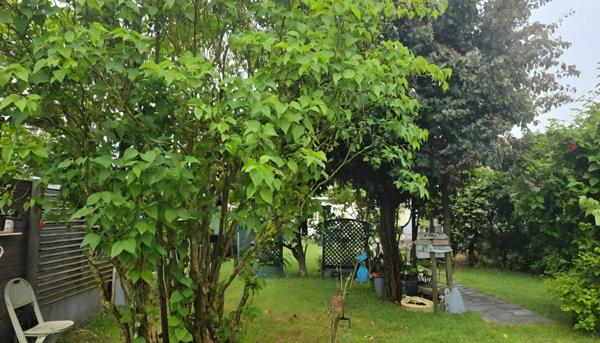 Maison à vendre 6/7 pièces HIREL (35) jardin et dependances