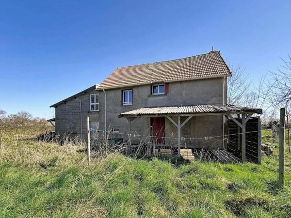 Maison individuelle avec garage et grand terrain