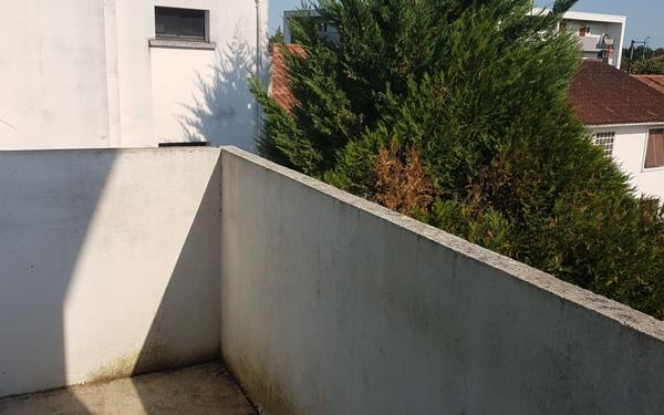 Appartement à louer    3 pièces •  Aire-sur-l'Adour