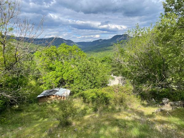 Terrain Agricole 3ha avec Mas non habitable