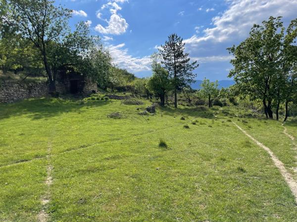 Terrain Agricole 3ha avec Mas non habitable