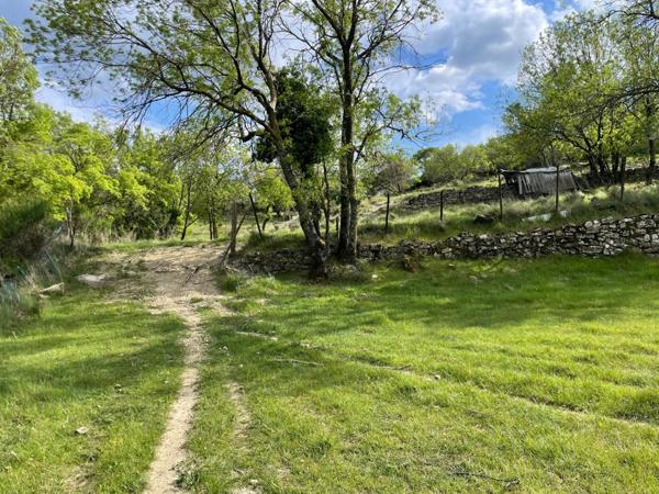 Terrain Agricole 3ha avec Mas non habitable