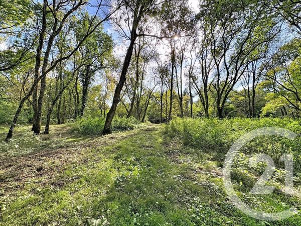 Maison à vendre  8 pièces - 219,44 m2 LA FERTE IMBAULT - 41