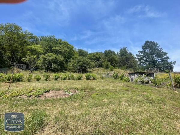 Terrain à vendre 4049m²