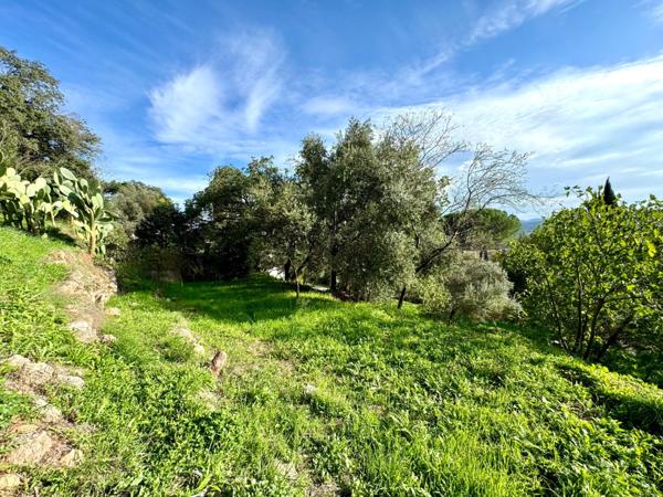 Les Arcs Var Côte d'Azur  terrain 2570m2 constructible