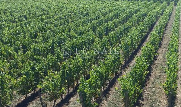 Propriété viticole d'exception de 16 ha à Bergerac