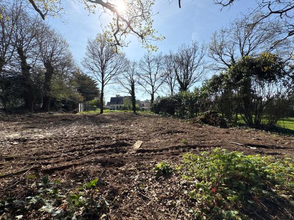 Terrain de 1230m2 prêt à bâtir avec Tout-à-l'égout