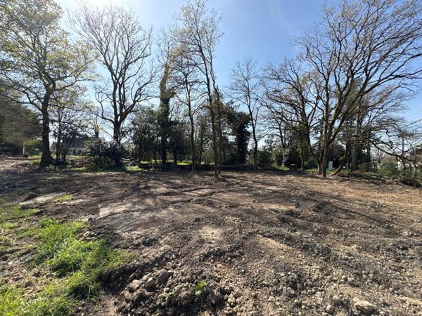 Terrain de 1230m2 prêt à bâtir avec Tout-à-l'égout