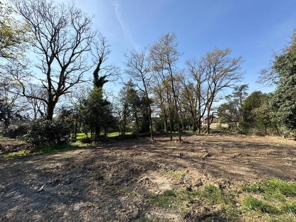 Terrain de 1230m2 prêt à bâtir avec Tout-à-l'égout