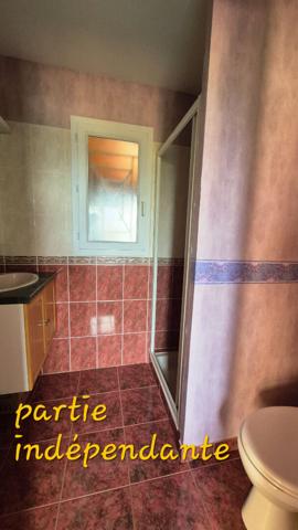 Maison Saintes 5 pièce(s) avec piscine et son appartement dédié