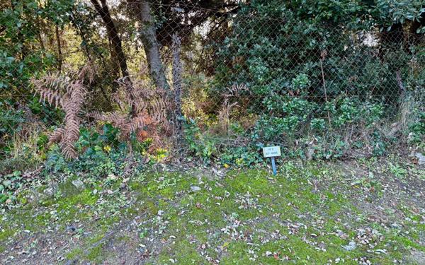 Appartement à louer    1 pièce • 32,93 m2 Rivedoux-Plage