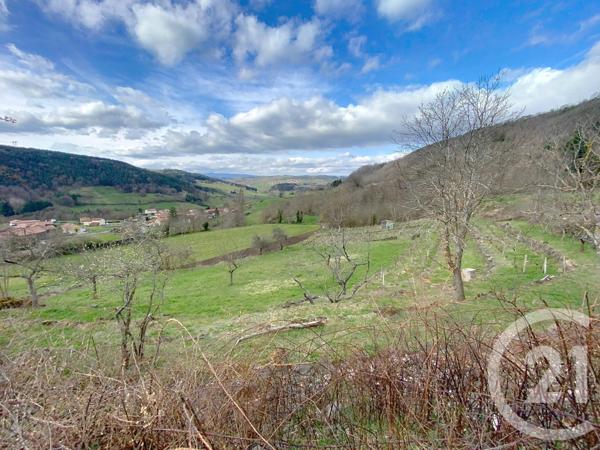 Terrain à vendre  2971 m2 POLIGNAC - 43