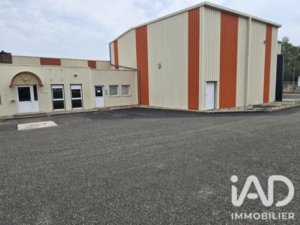 Murs commerciaux  à vendre 1 400 m² Sarrebourg