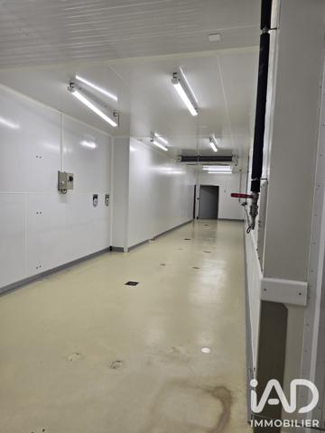 Murs commerciaux  à vendre 1 400 m² Sarrebourg