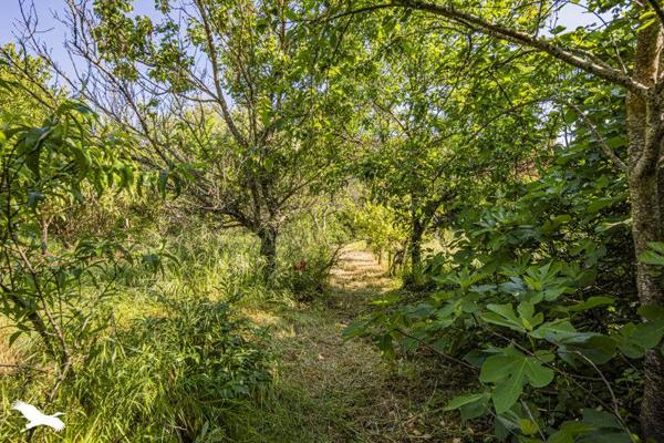 Maison à vendre |  La Ville-aux-Dames |  4 pièces | 133 m²