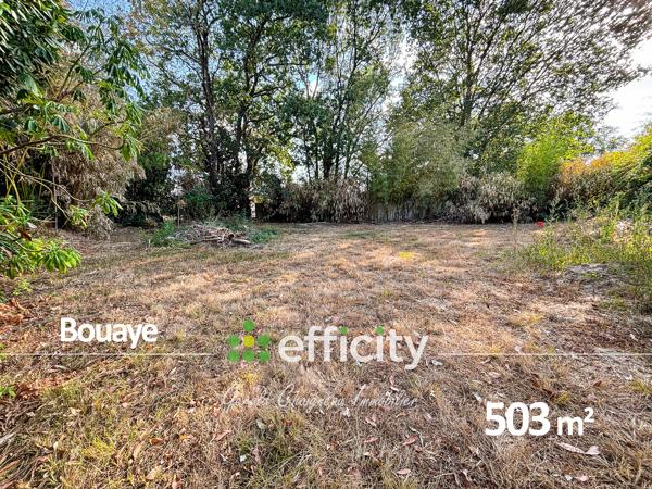 Terrain
        
        - 503 m² 153 000 € *