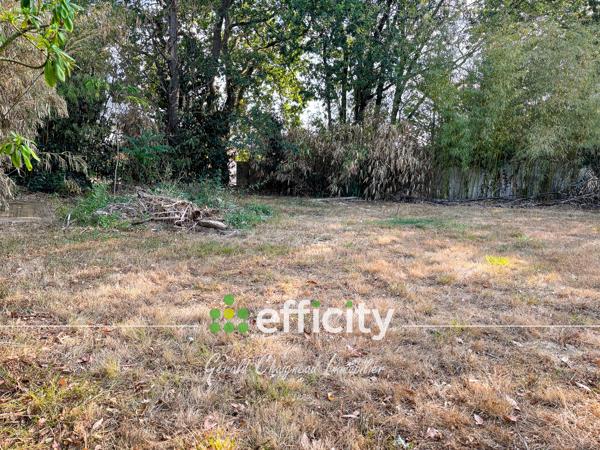 Terrain
        
        - 503 m² 153 000 € *