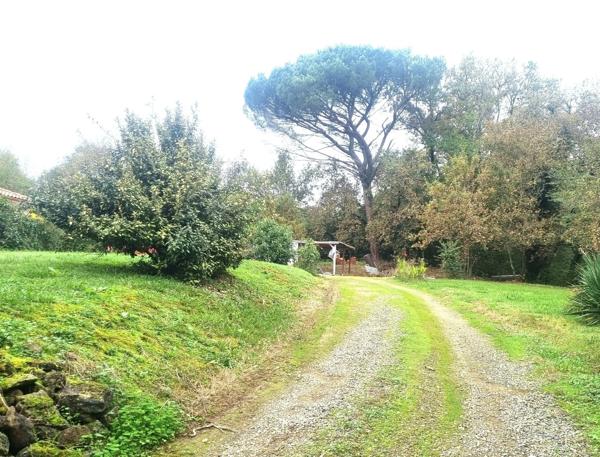 Havre de paix contemporain avec Spa et parc arboré à Perchède 🌳🦆