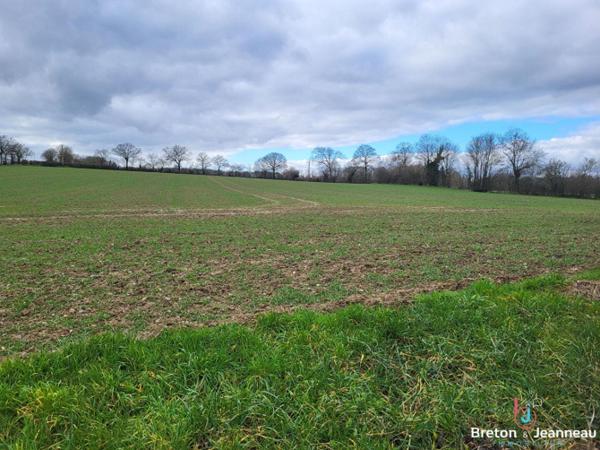 Terres agricoles de 8ha06a71ca à St Christophe du Luat