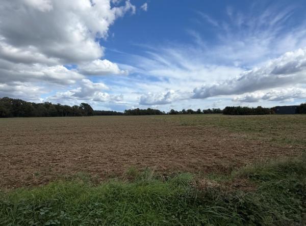 Terrain à MOLAC, 56230 - 870m²