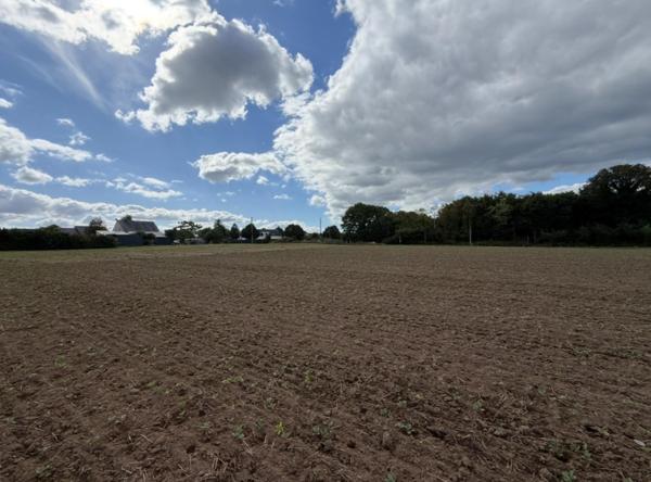 Terrain à MOLAC, 56230 - 870m²