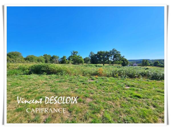 Maison à vendre 6 pièces  (SAULIEU 21210 ) Terrain 65 385m²