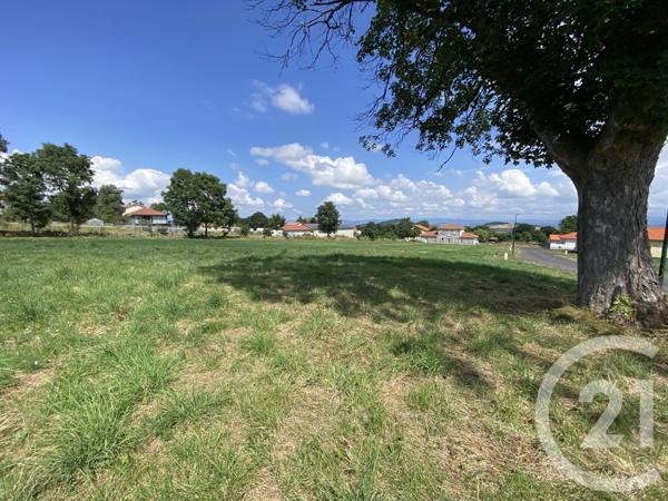 Terrain à vendre  939 m2 CAYRES - 43