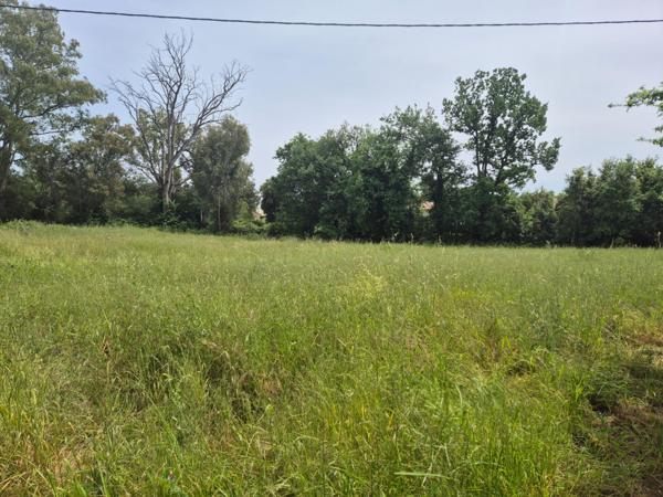 Très beau terrain constructible d'environ 1700m2 - Morta