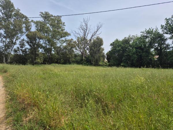 Très beau terrain constructible d'environ 1700m2 - Morta
