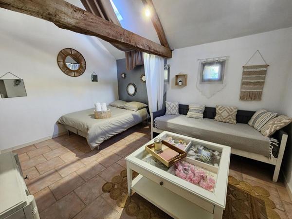 Maison Loches 9 pièce(s) 298 m2