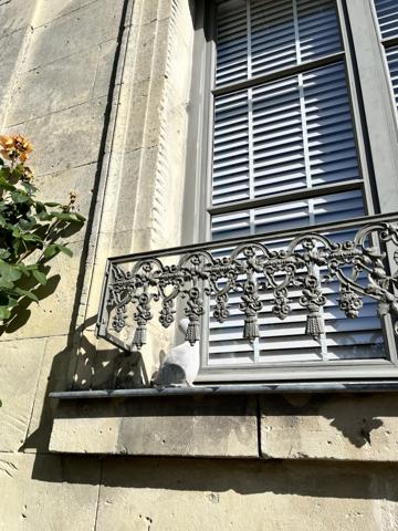 MAGNIFIQUE MAISON DE MAÎTRE TOURANGELLE DE 180 m² + SA MAISON D'AMIS DE 120m²