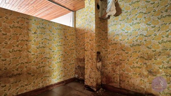 Altorf (67120) Altorf - Maison 2 pièces avec jardin