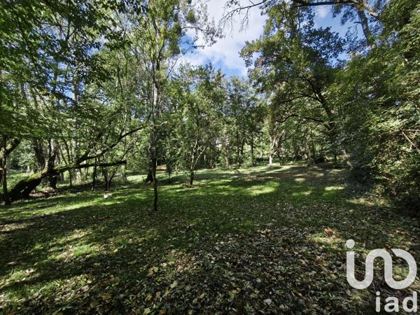 Terrain à vendre 4 800 m² La Vernelle