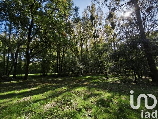 Terrain à vendre 4 800 m² La Vernelle