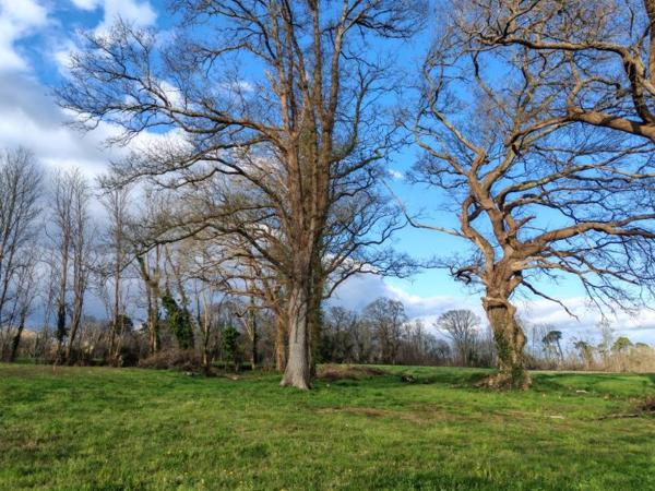 Dépendance à aménager  proche DAX POSSIBILITE 130 m2 sur terrain de 2825 m2