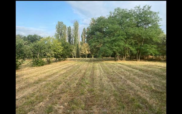 Terrain à vendre    Toulouse