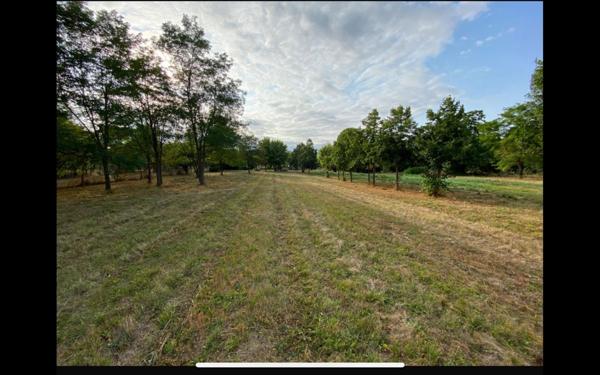 Terrain à vendre    Toulouse