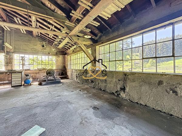 Palladuc (63550) Maison avec atelier à Palladuc