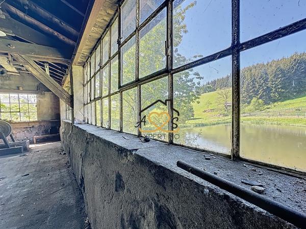 Palladuc (63550) Maison avec atelier à Palladuc