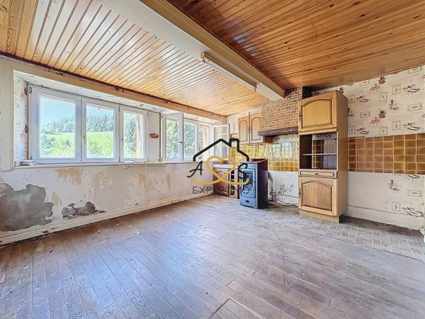 Palladuc (63550) Maison avec atelier à Palladuc