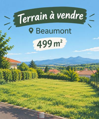 Terrain